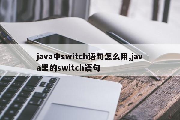 java中switch语句怎么用,java里的switch语句