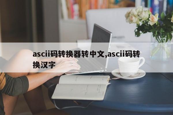ascii码转换器转中文,ascii码转换汉字
