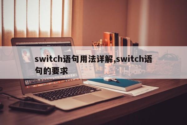 switch语句用法详解,switch语句的要求